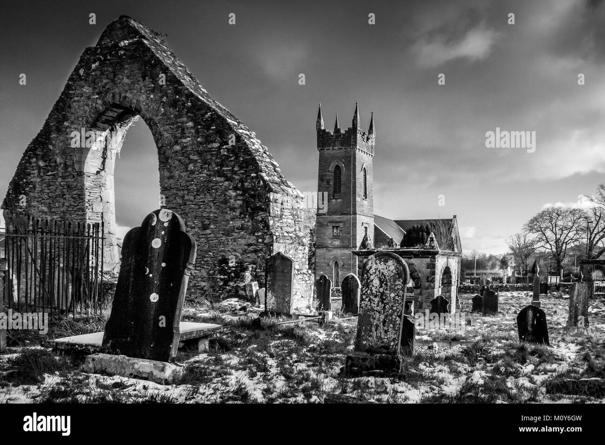 How Old Is Roronoa Zoro in Spy x Family?